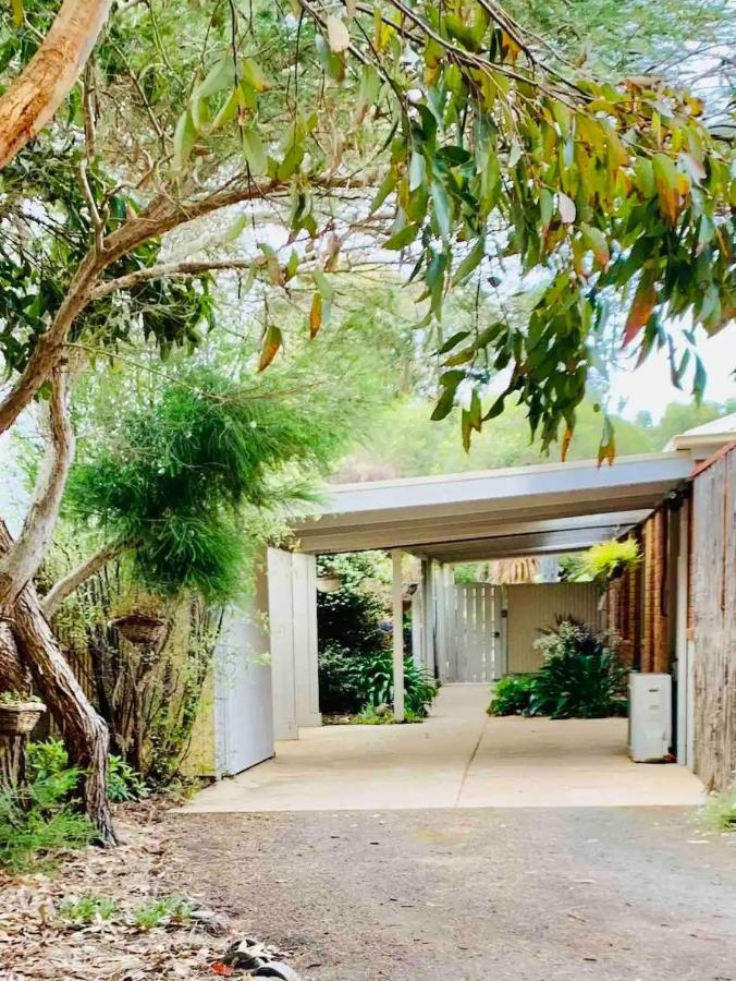 Marengo Beach Studios- Pet Friendly Εξωτερικό φωτογραφία