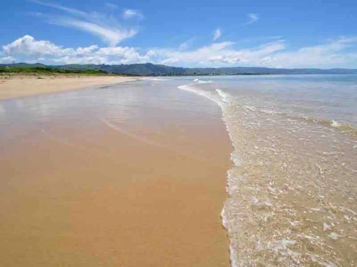 Marengo Beach Studios- Pet Friendly Εξωτερικό φωτογραφία